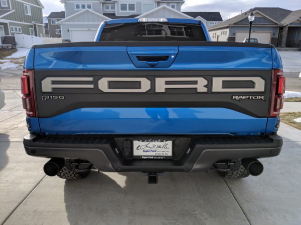 F-150 Ford Raptor Tailgate Letters (17-20)